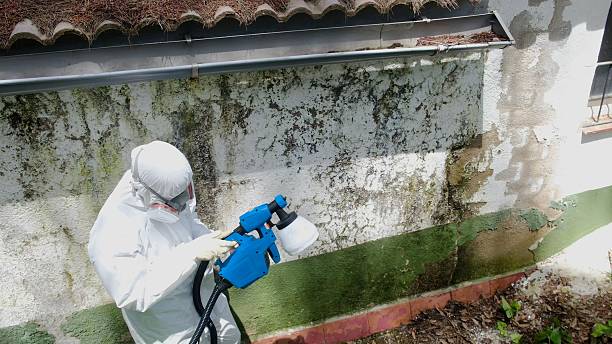 Top rated local Commercial Mold Remediation specialists in Faulkner, MD